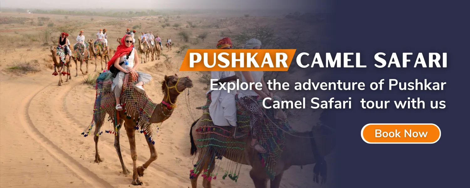 Pushkar Camel Safari